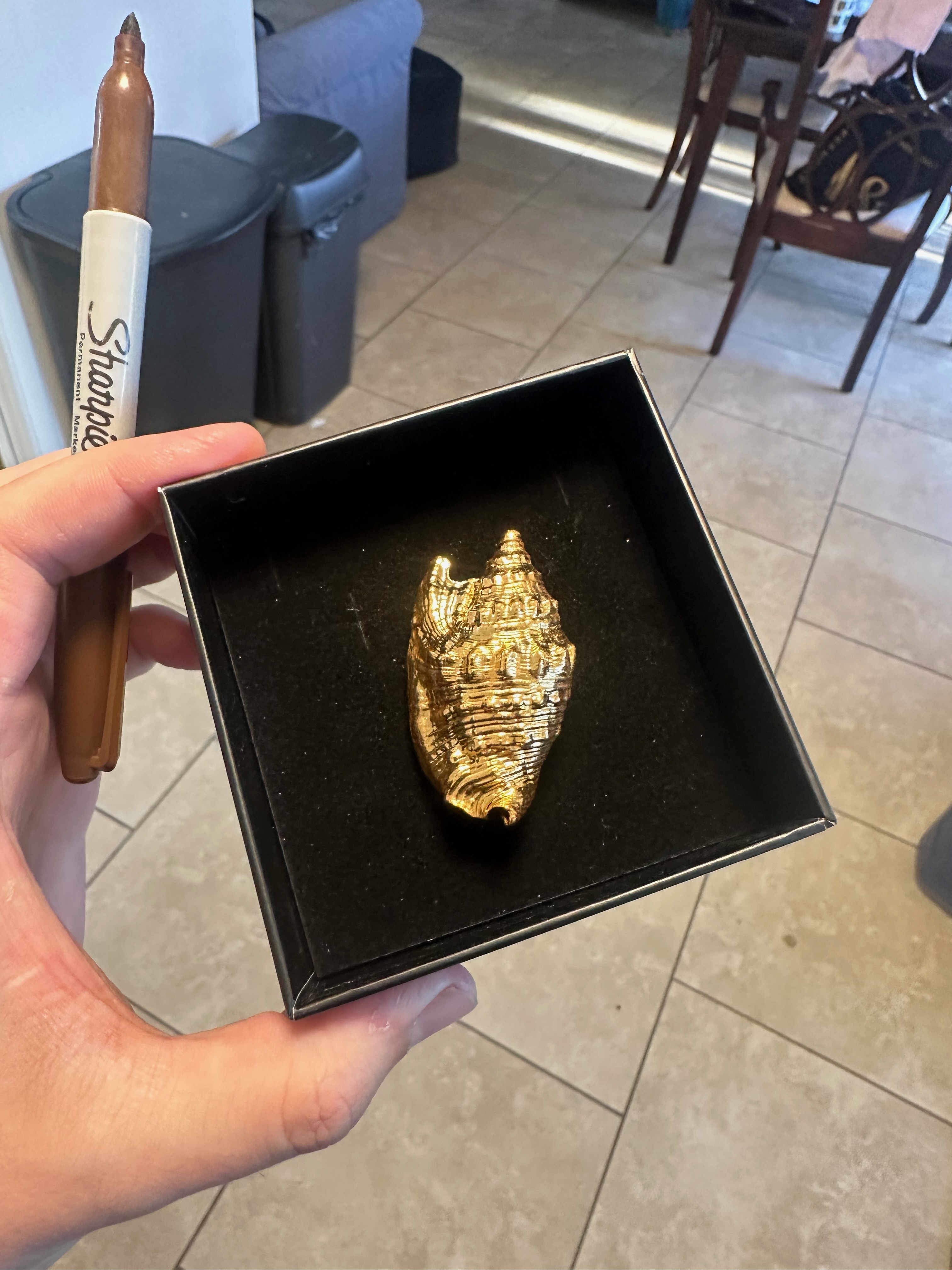 24kt Gold Plated Diana Conch Sea Shell