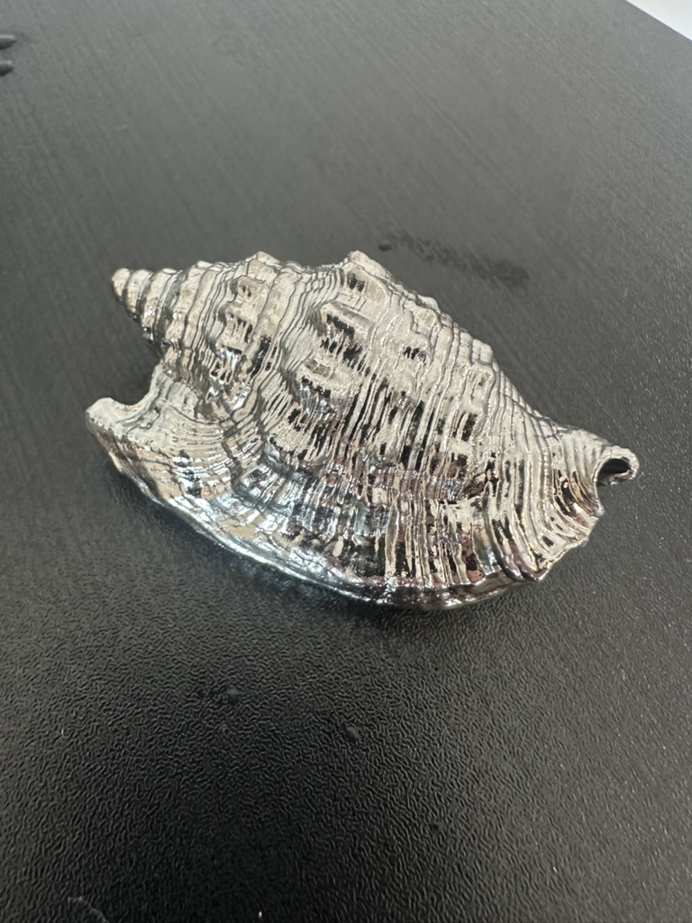 Same conch shell plated in reflective silver nickel, on a dark textured surface