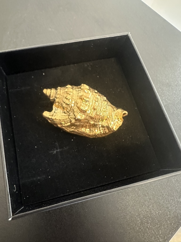 Gold-plated conch shell displayed in a square black presentation box