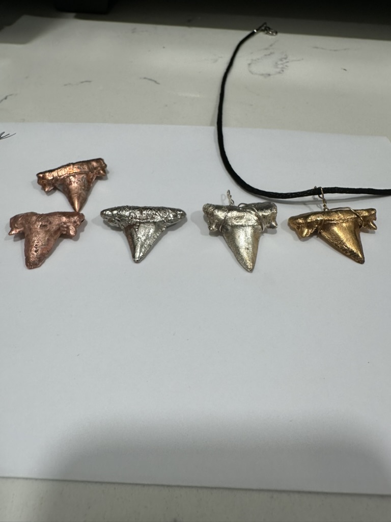 Plated Variety Shark Teeth