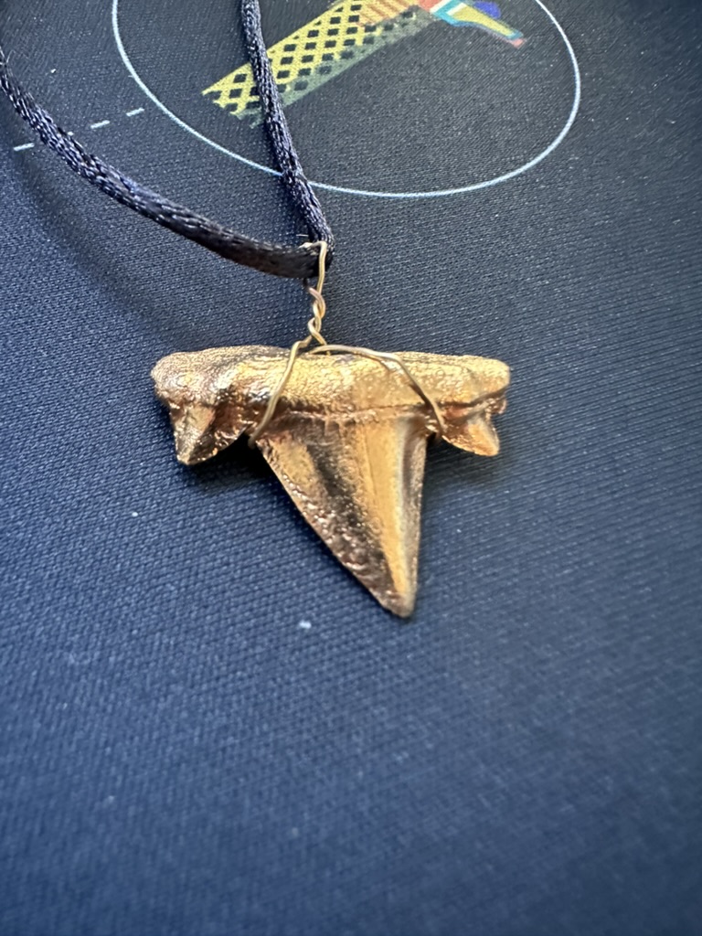 Gold-plated shark tooth wire-wrapped as a pendant on a black cord
