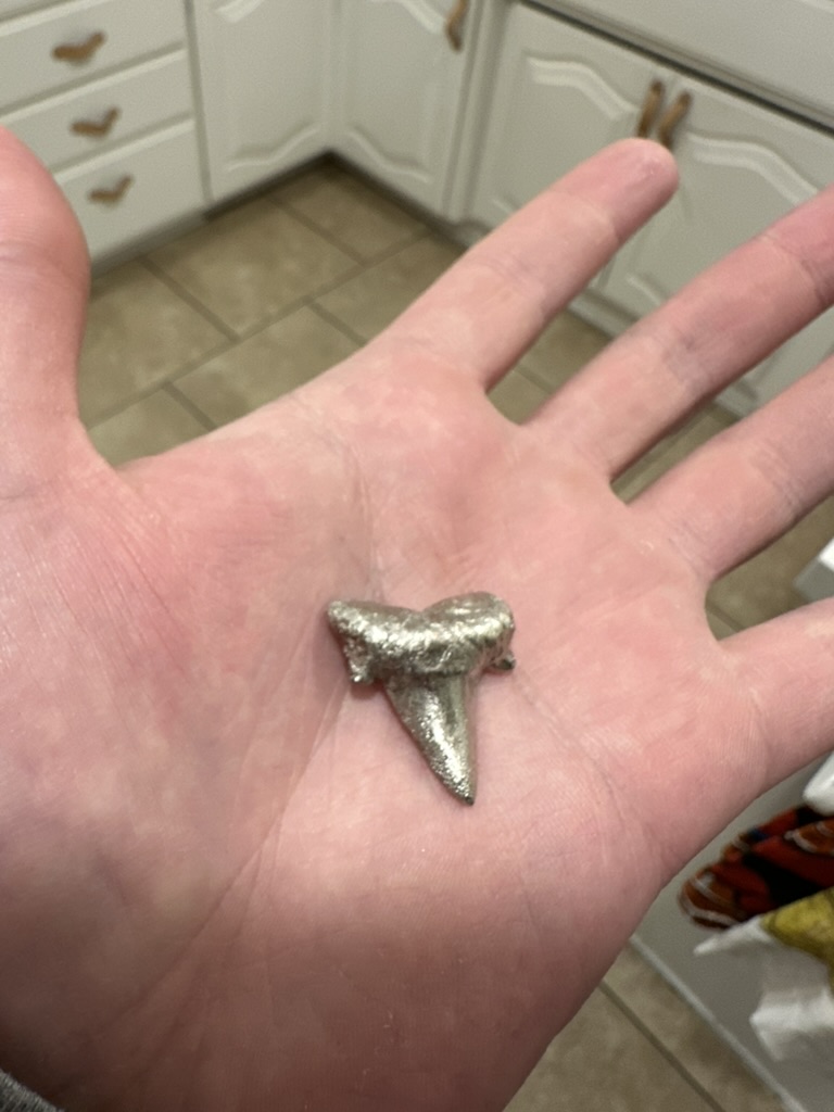 Silver-plated shark tooth resting in an open palm